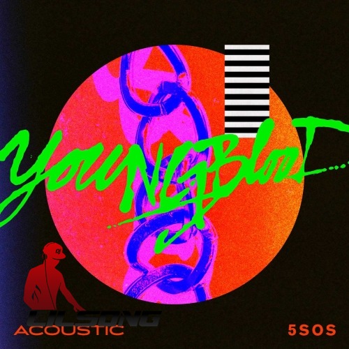 5 Seconds Of Summer - Youngblood (Acoustic)